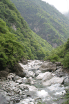 Wolong Reserve Chengdu Last