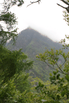 View Into Wolong Reserve