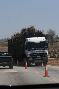 SWAZILAND MISC Banner