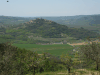 Motovun Mountain