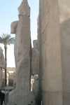 Hieroglyphic Inscriptions Back Tall