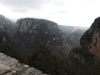 Vikos Gorge Monodendri