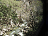 Vouraikos Gorge