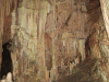 Lots Speleothemes Thin Column