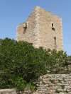 Tower House