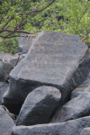 Ancient Petroglyphs Shore Essequibo