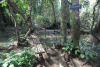 Wooden Bridge Over Brook