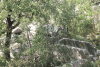 Stone Sarcophagi Forest Around